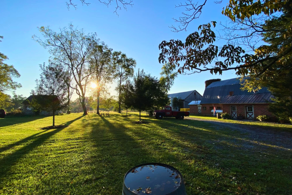 New Market Plains Vineyard in Frederick County Maryland