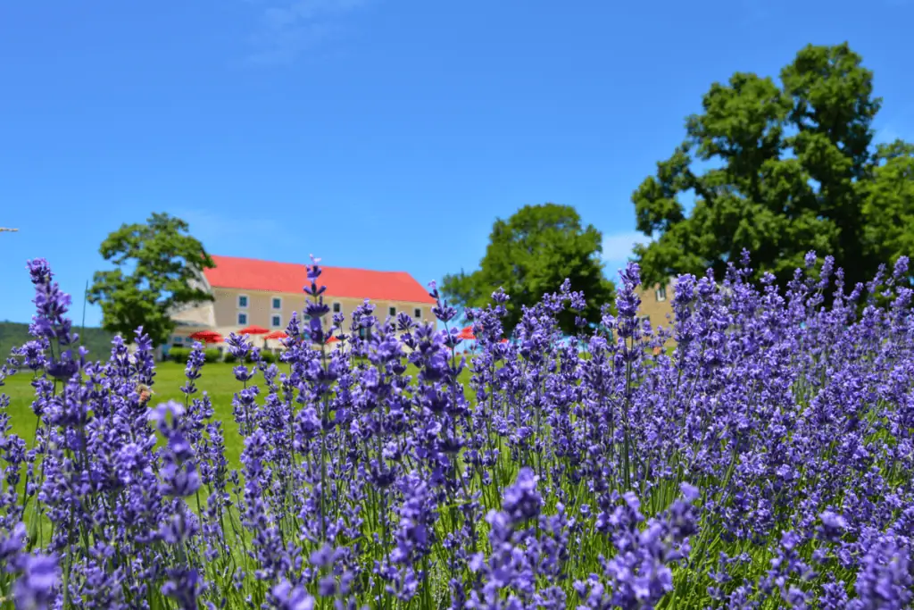Springfield Manor Winery Distillery and Brewery in Thurmont Maryland