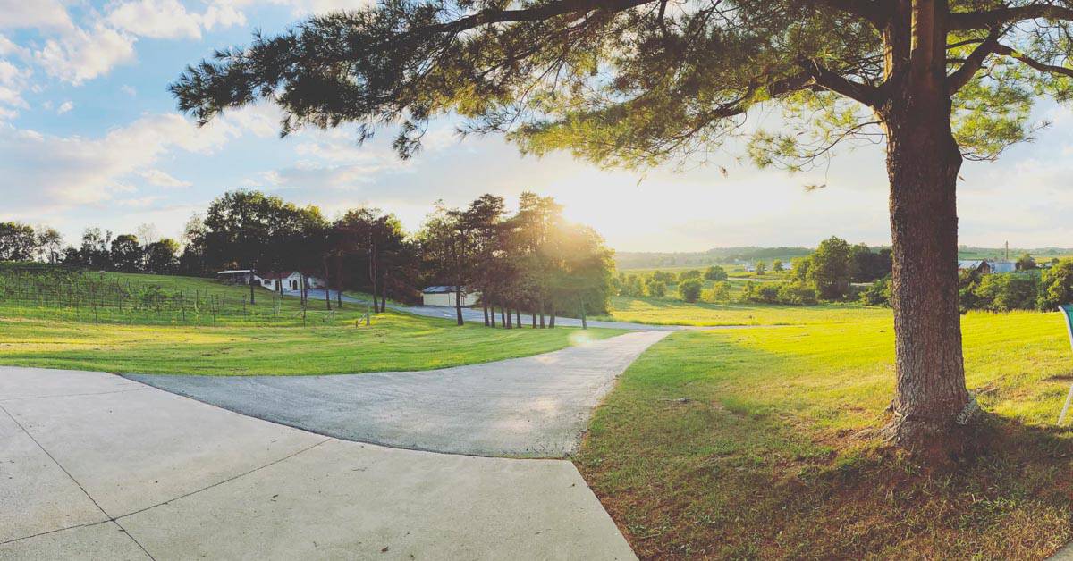 Wineries in Frederick Md (2022) Housewives of Frederick County