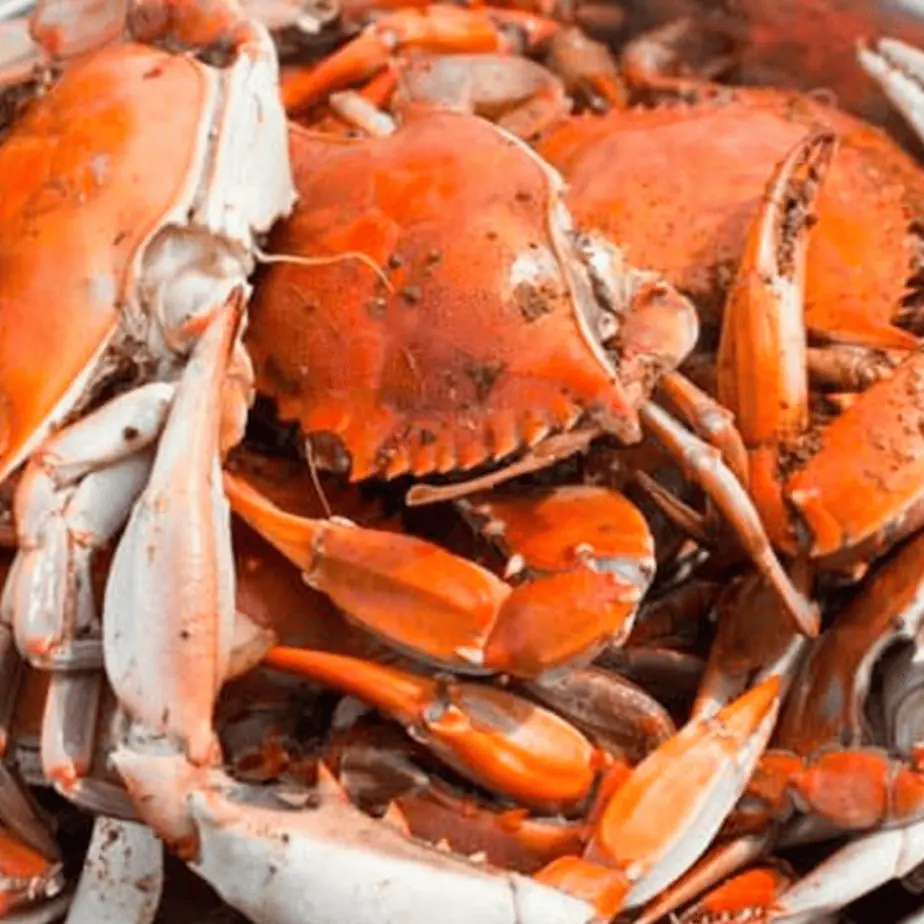 Crab Festivals in Maryland