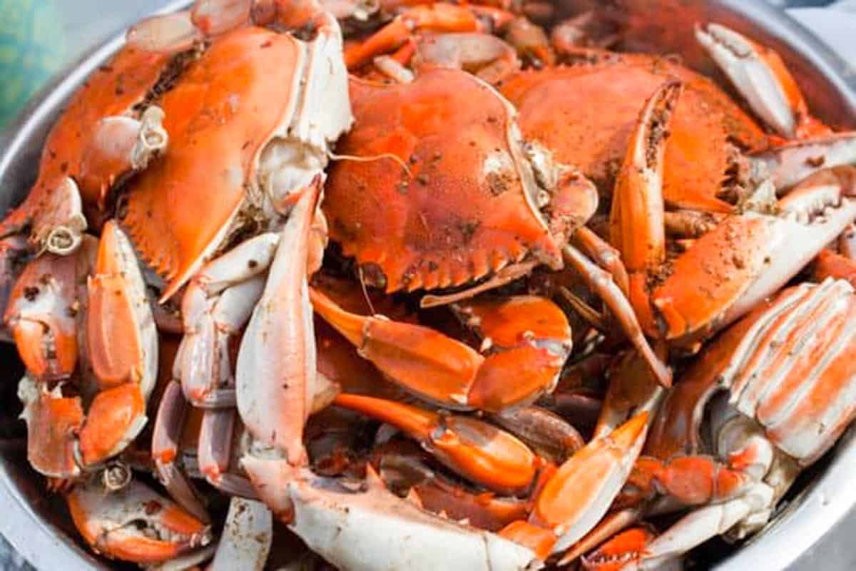 35+ Crab Festivals in Maryland (2022) Housewives of Frederick County