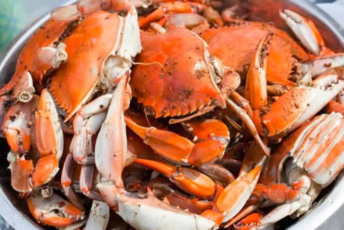 32+ Crab Festivals in Maryland Housewives of Frederick County