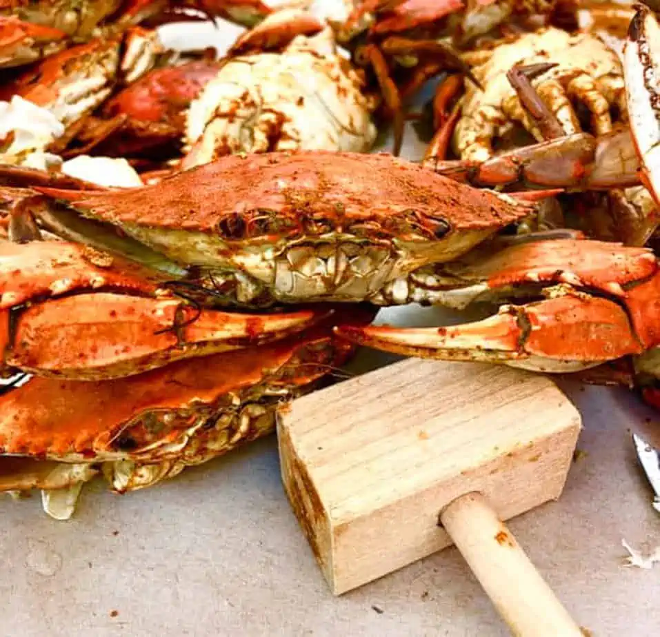 Crab Festivals in Maryland