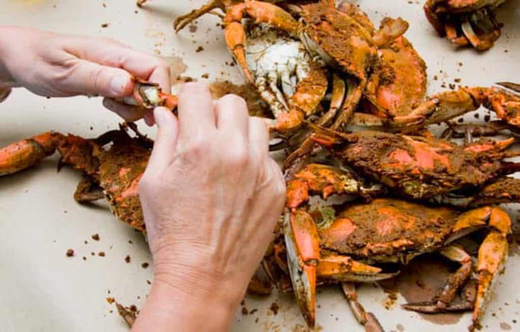 35+ Crab Festivals in Maryland (2022) Housewives of Frederick County