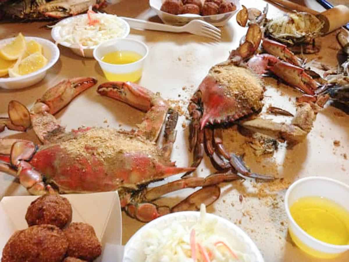 Crab Festivals in Maryland