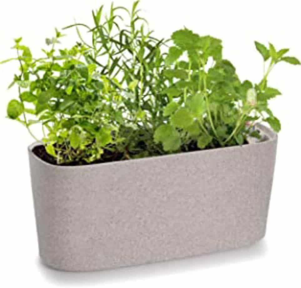 self watering herb garden pot - best kitchen gifts for mom