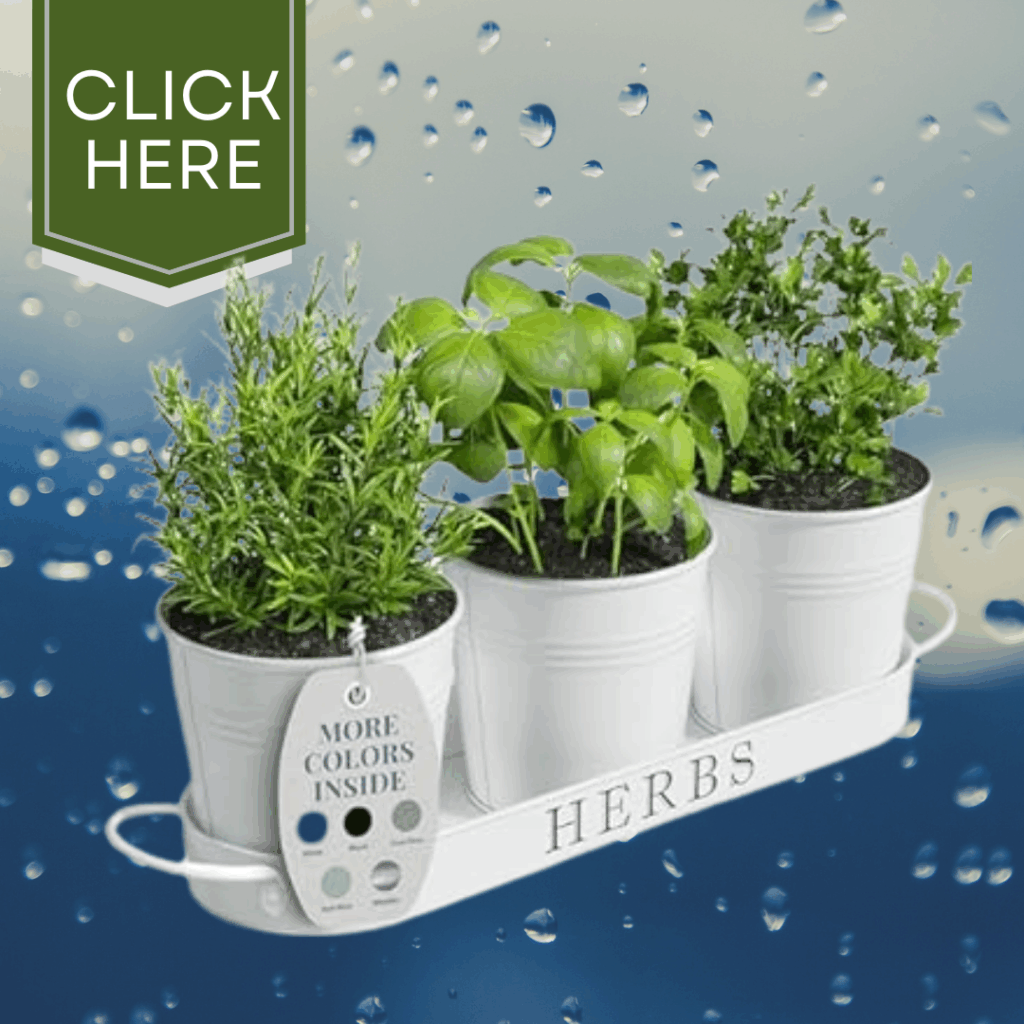 self watering herb garden pot - best kitchen gifts for mom