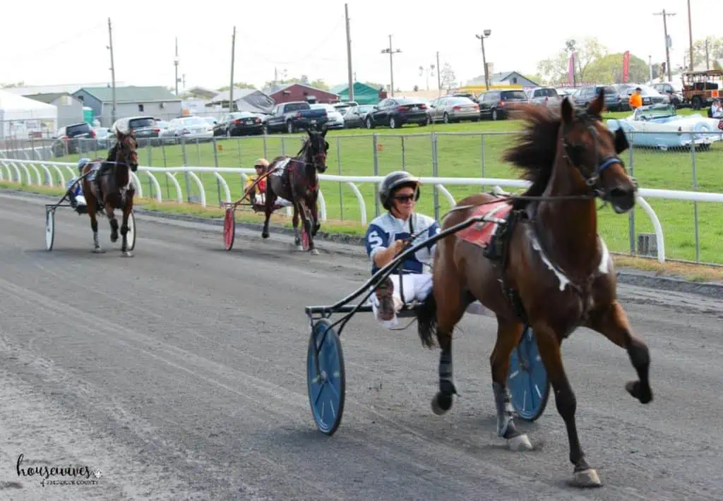 The Great Frederick Fair