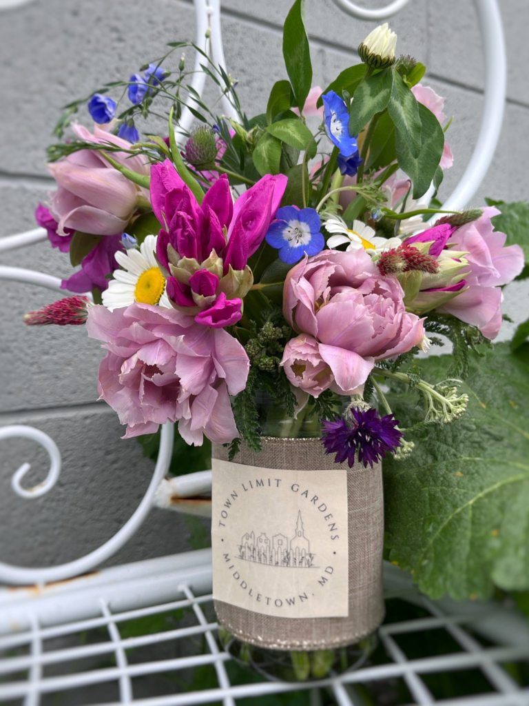 Fresh-cut flowers and u-pick blooms at Town Limit Gardens in Frederick County MD