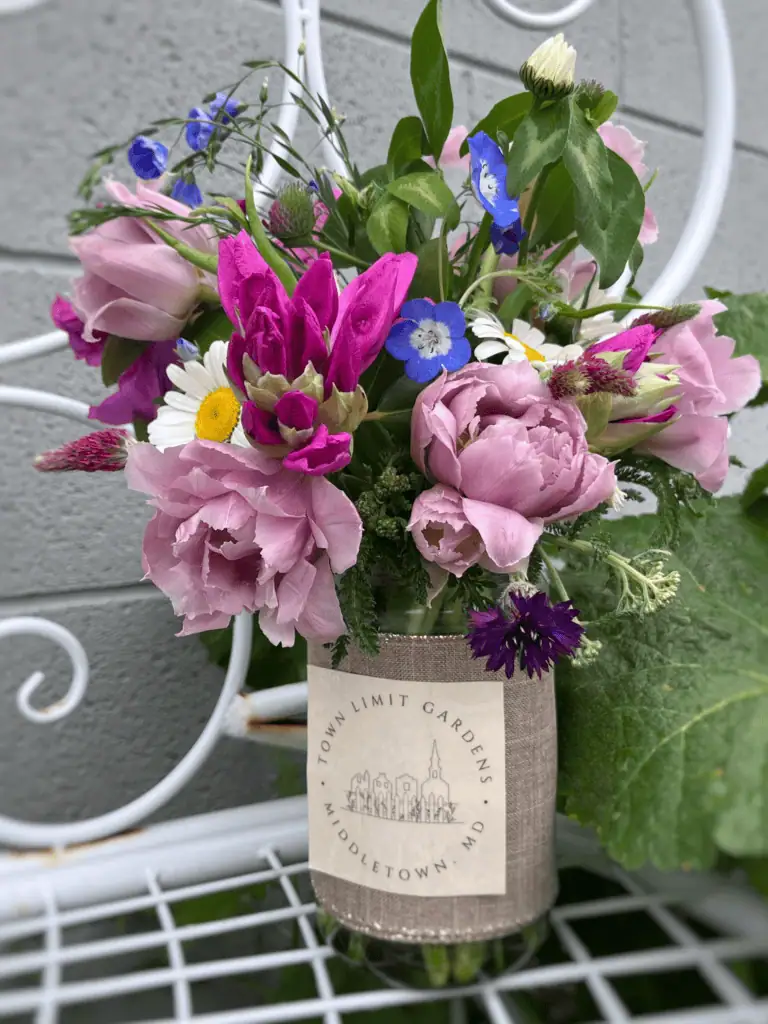 Fresh-cut flowers and u-pick blooms at Town Limit Gardens in Frederick County MD