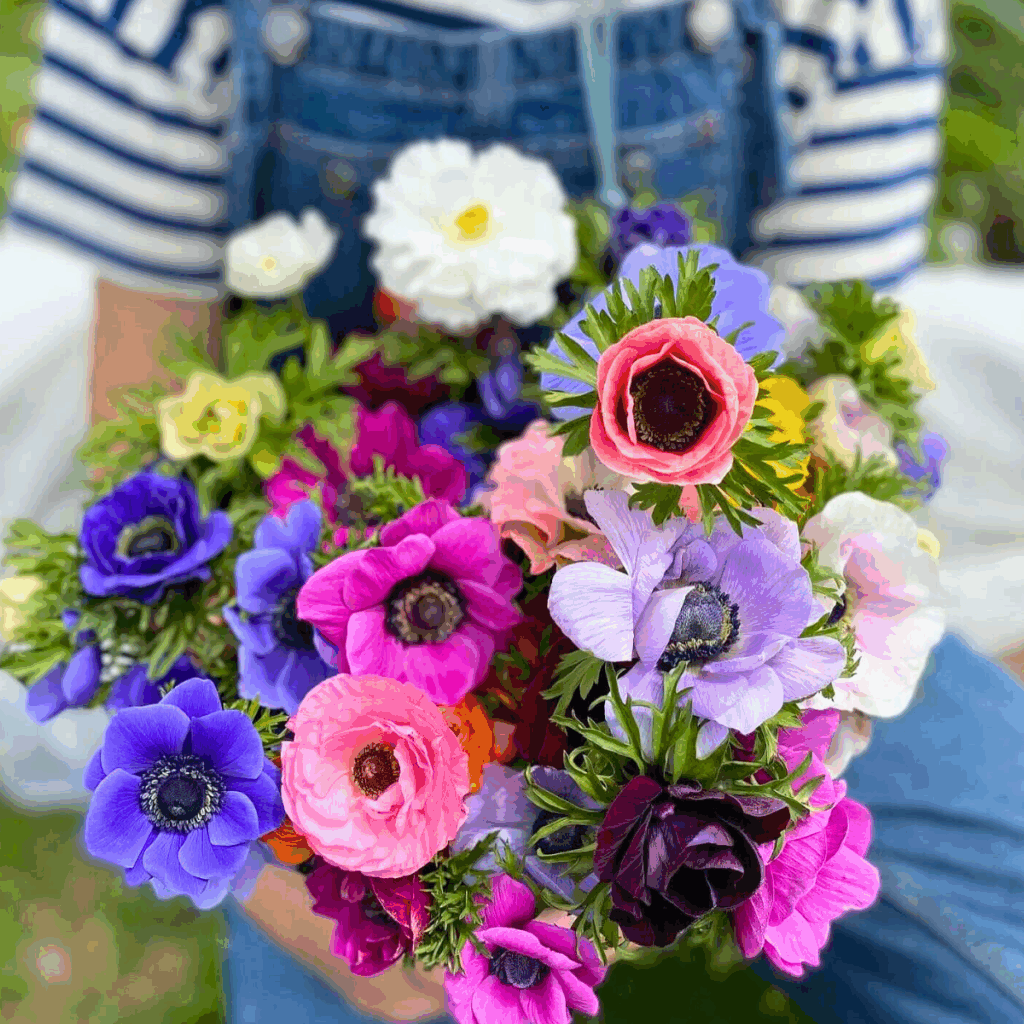 Fresh-Cut Flowers in Frederick
