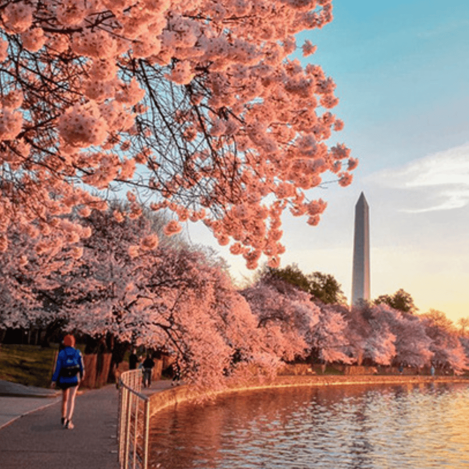 Best Weekend Trips From Frederick MD (All Within 3 Hours!) - Housewives ...