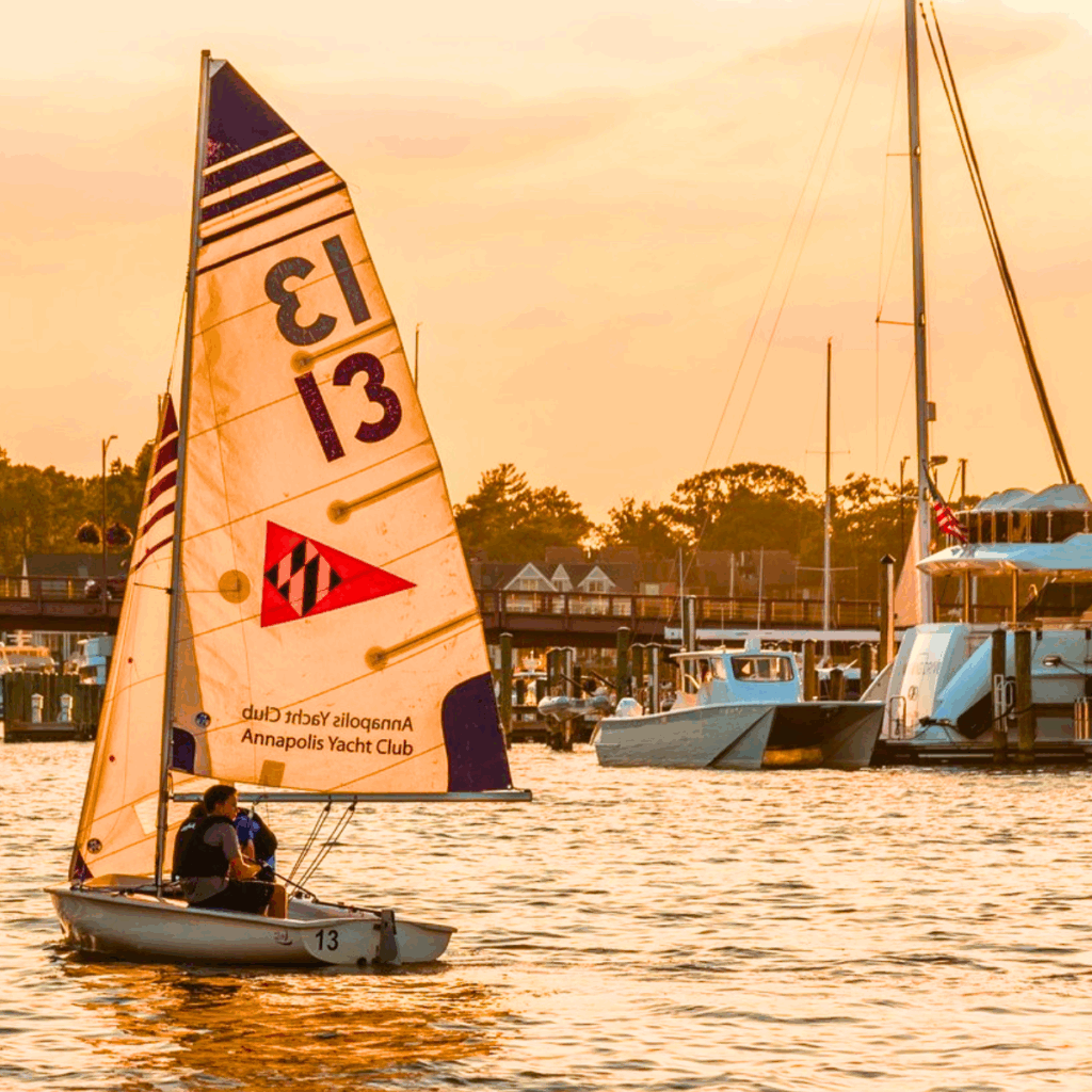 Sailboat races in Annapolis, MD