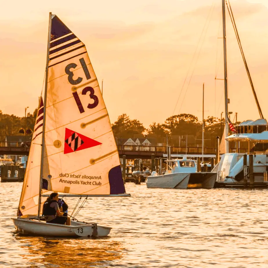 Sailboat races in Annapolis, MD