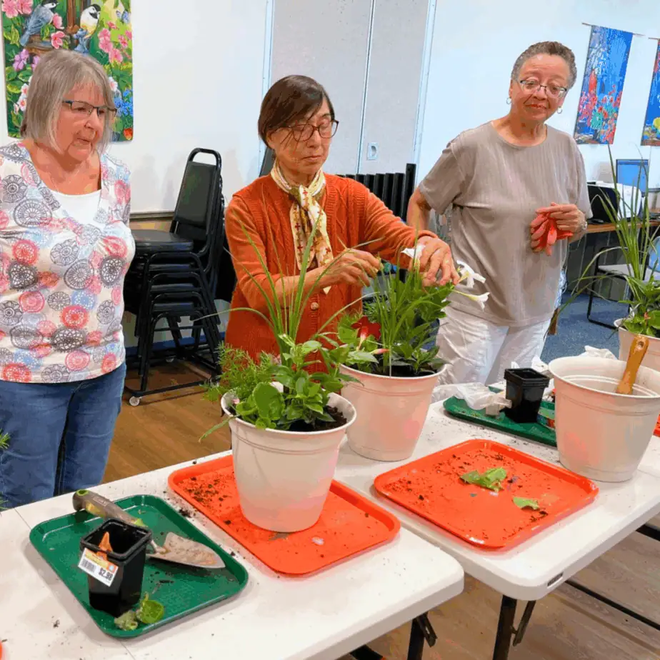 Seniors participating in a plant class at a Frederick County Senior Center