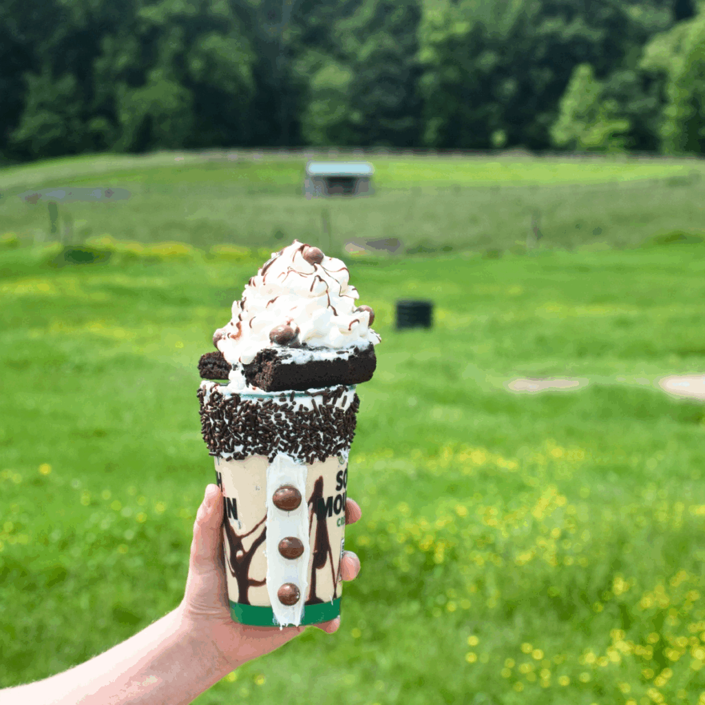 Grandparents and grandkids enjoy eating ice cream together at South Mountain Creamery
