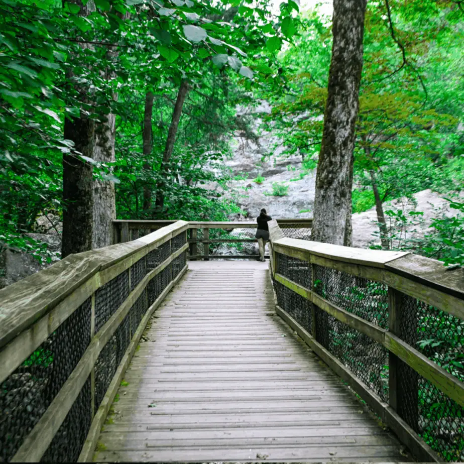 Cunningham Falls State Park Boardwalk to the falls