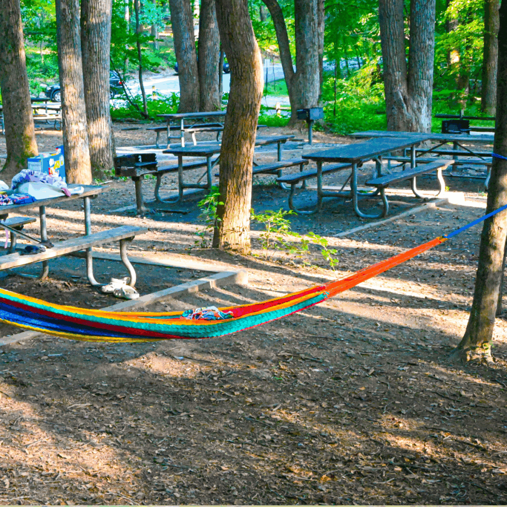 Cunningham Falls State Park Hunting Creek Lake Shaded Picnic Tables and hammocks