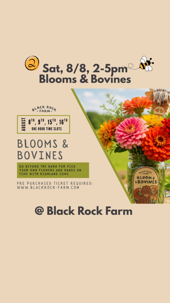 Promotional graphic for the Blooms & Bovines event at Black Rock Farm in Frederick County, Maryland on August 8, 2026.