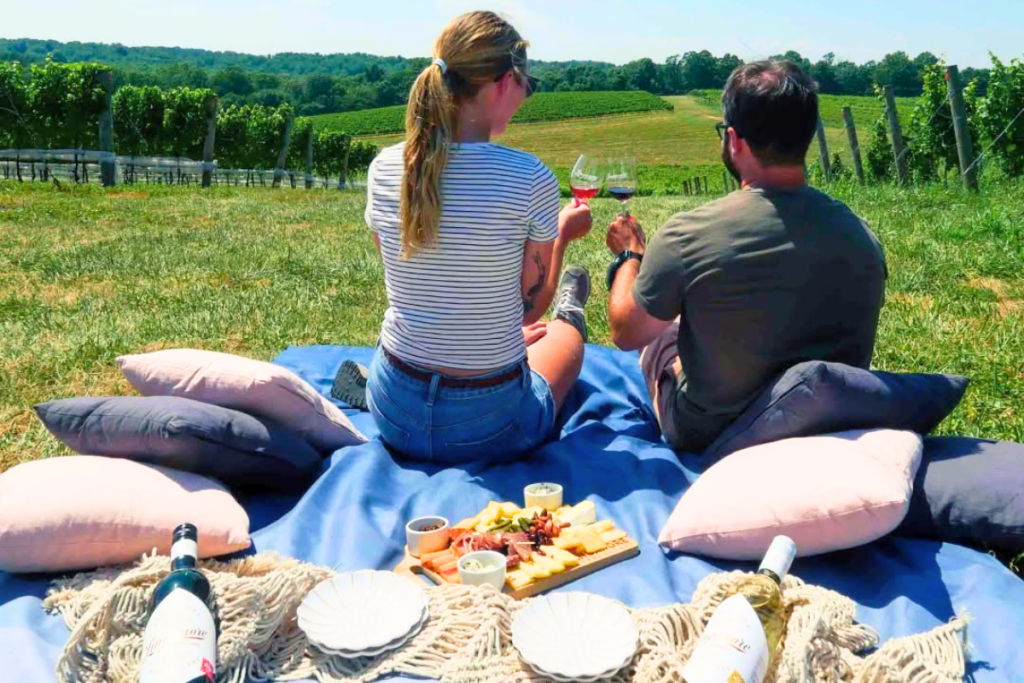 Couple enjoying a sunset picnic overlooking the vineyards at Linganore Winecellars.