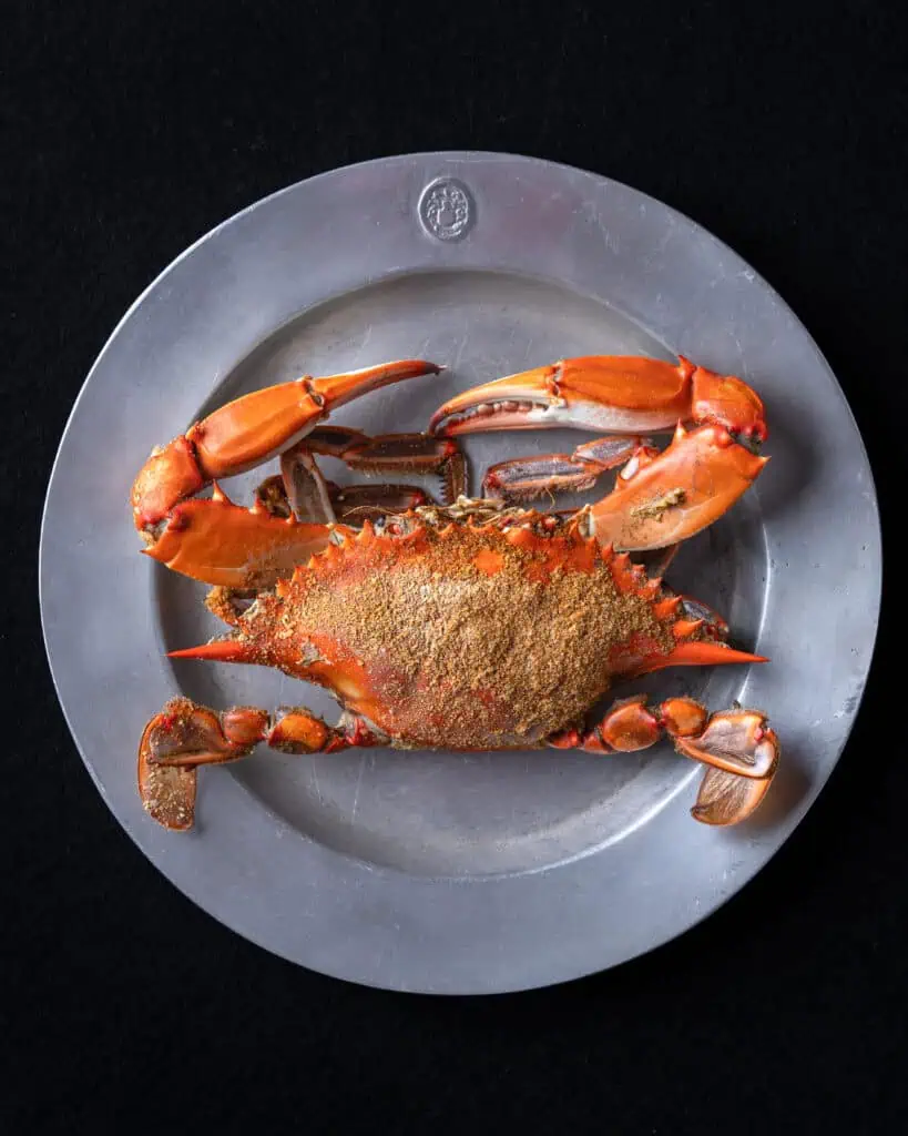 Whole steamed Maryland blue crab covered with seasoning on a pewter plate